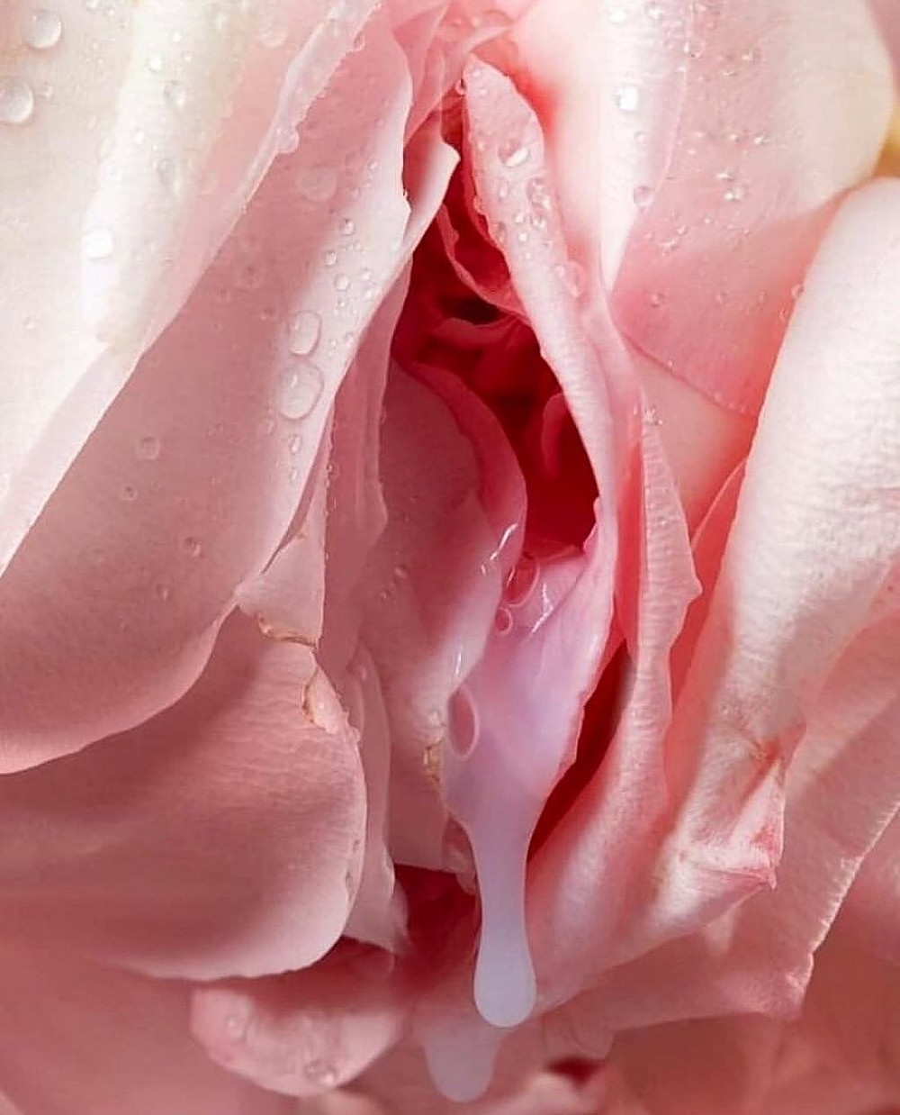 Скатилась капелькой между грудями нежность