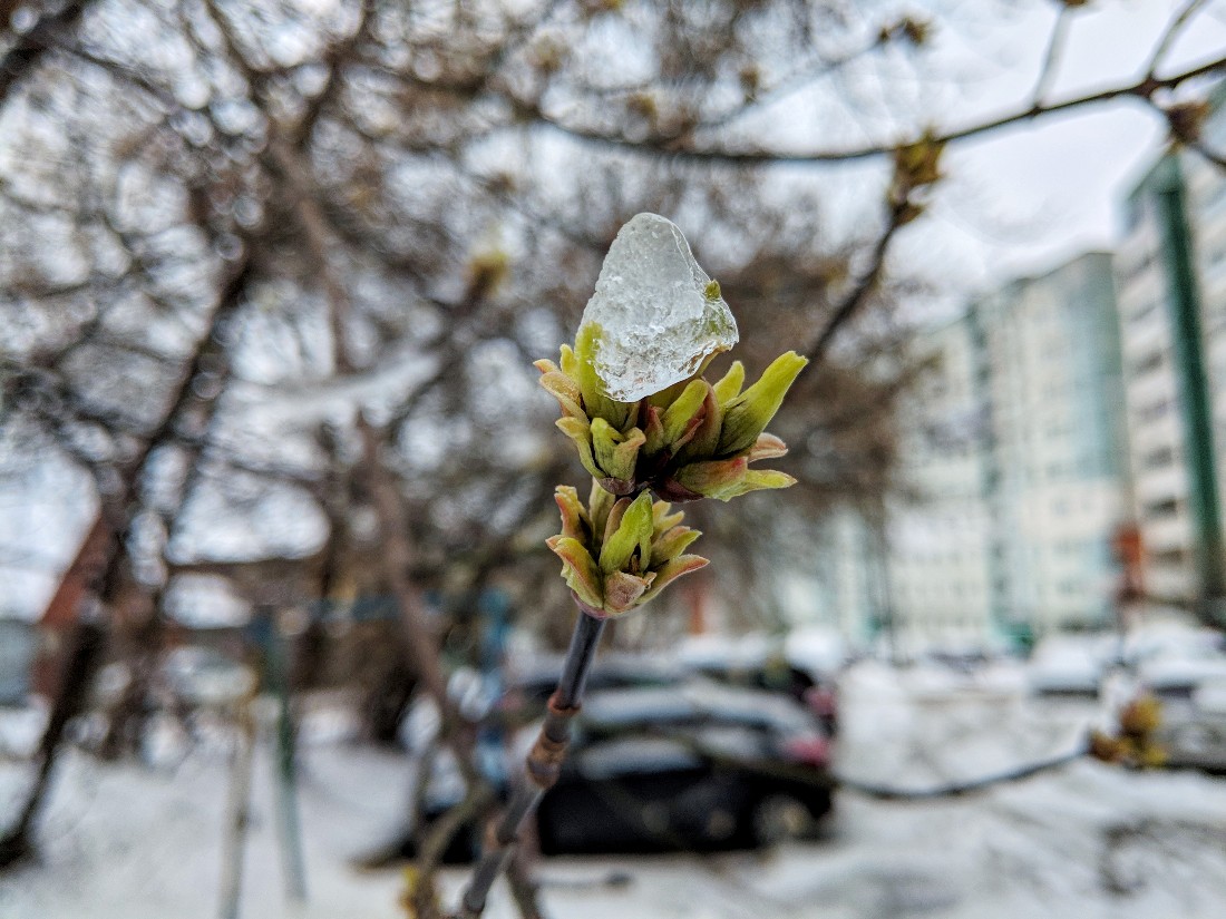 Погода в москве конец апреля начало мая. Снег в апреле. Апрельская природа. Март без снега.