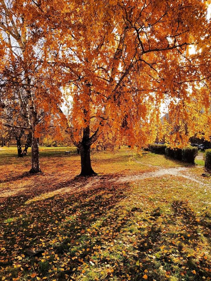 Дождь со снегом