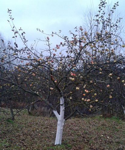 С утра октябрь сегодня плачет
