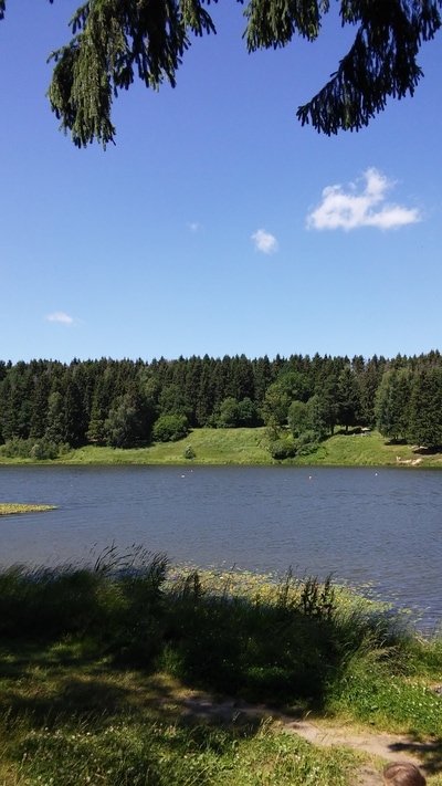 Я плаваю в озере