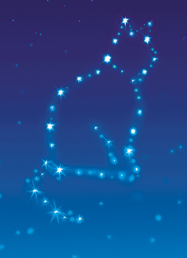 Созвездие Кошки