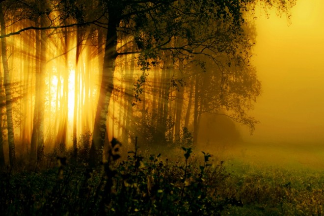 В лесу осеннем эхо плакало..