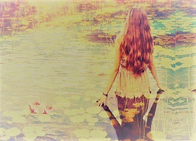 Рыжая лилия