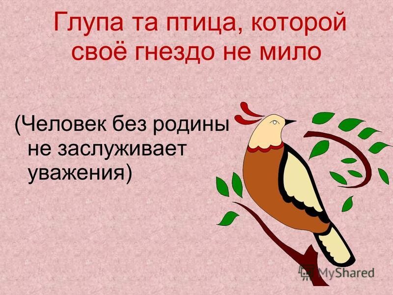 Пословица воля птичке