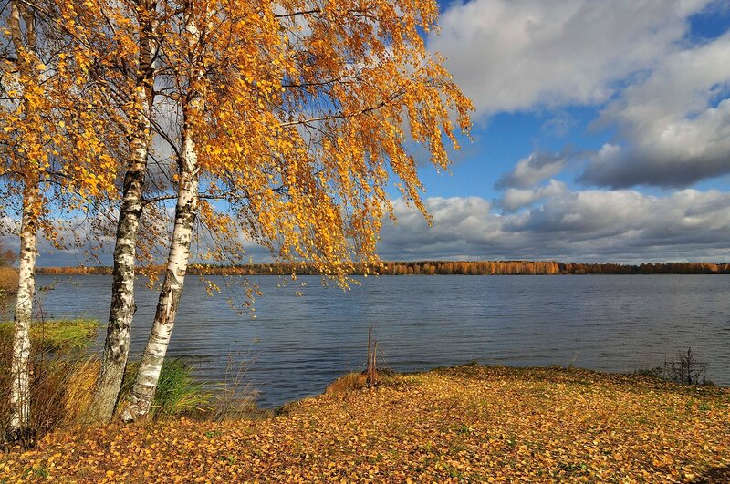 Не вся листва под ноги нам упала