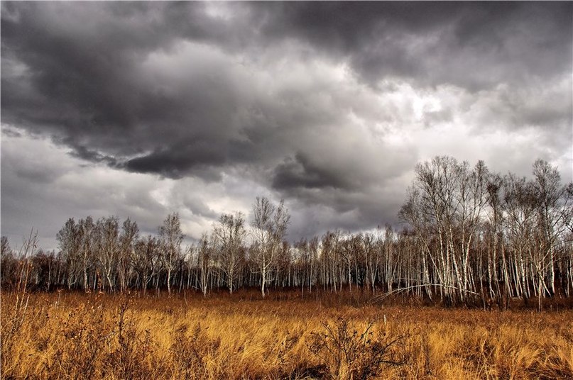 В поздней осени