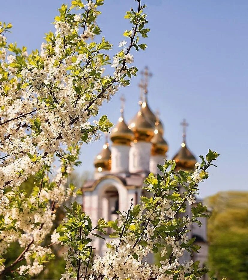 Храм в цвету
