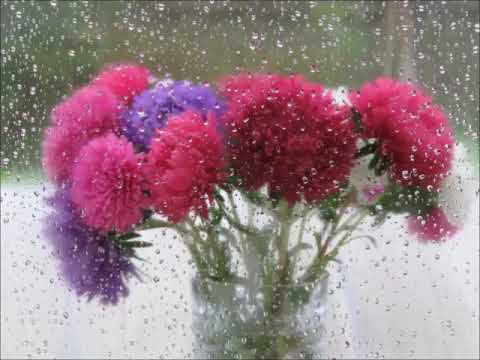 Я искала тебя. Любимому