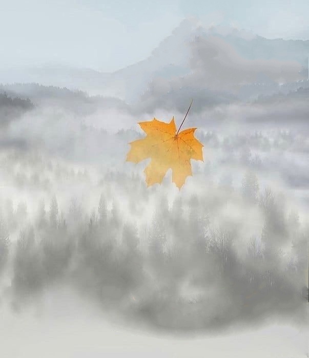 Осень. Последний месяц