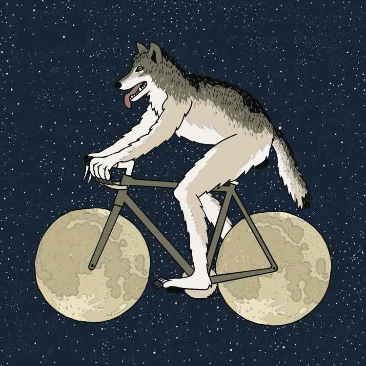 Волк на велосипеде картинка