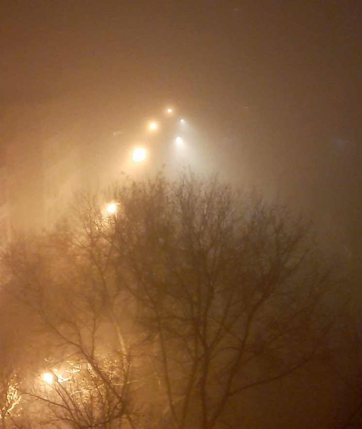 Смело в сказку я шагаю