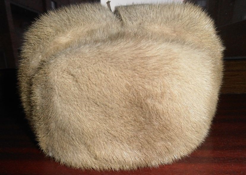 Курьёзы жизни