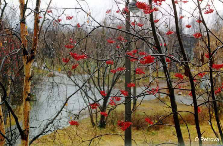 Неугасающий огонь