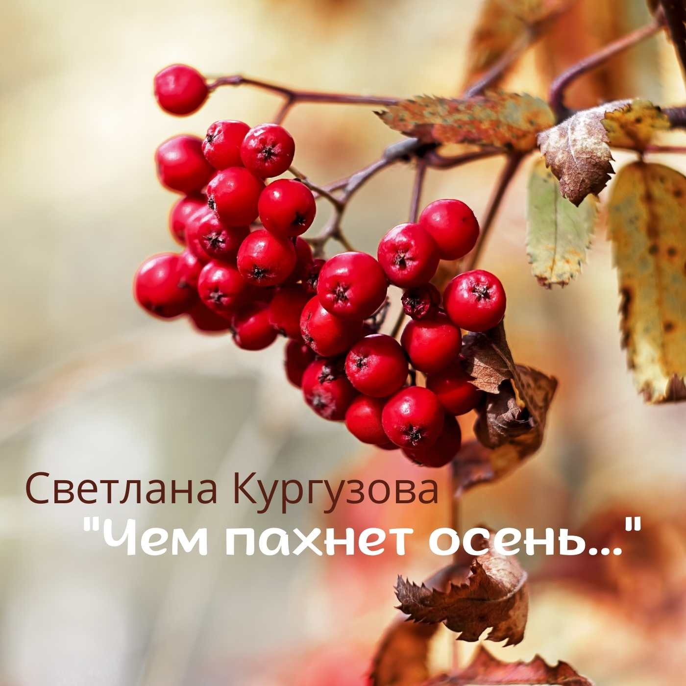 Рябина в октябре