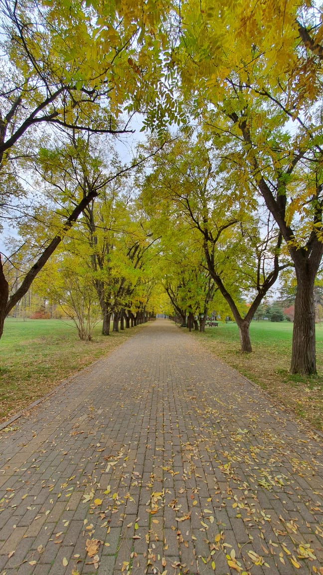 Отпусти её!