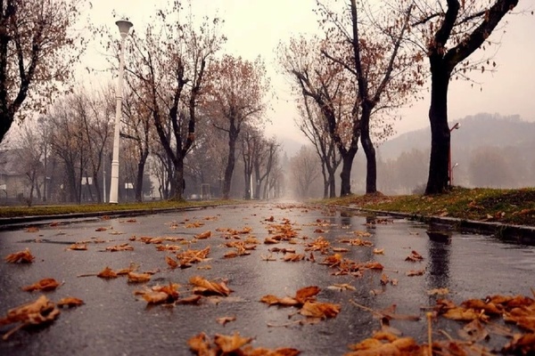 Нет месяца в году грустнее...