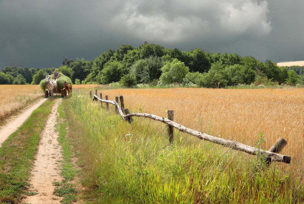 Проселочная дорога фото картинки