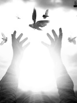 Живёт добро