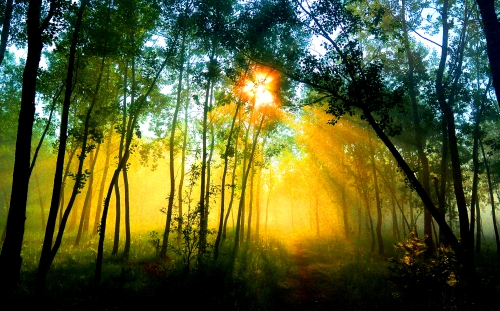 Земная наша жизнь проста... -