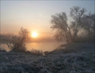 Последняя декада ноября