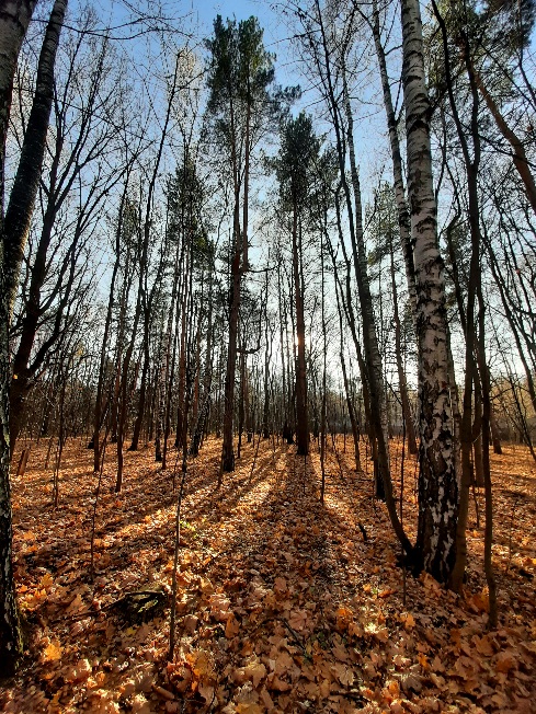 Осень прощается с нами