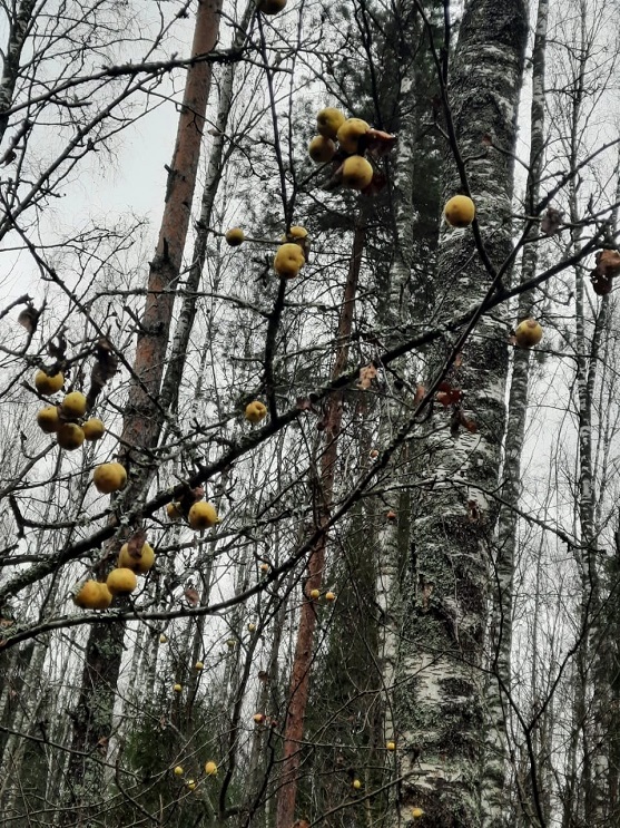 Уроки счастья преподать