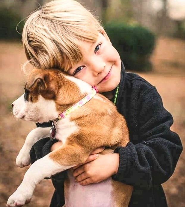 Щенок Дружок