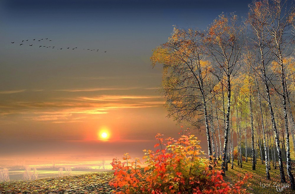 С восходом утренней зари