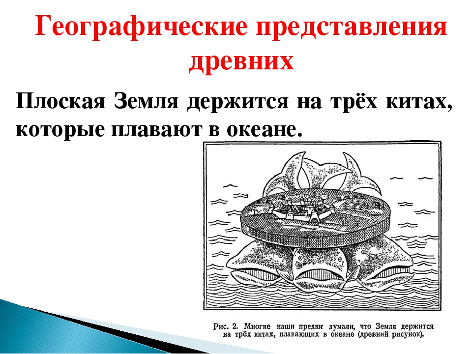 Держится на трех китах. Древние представления о земле на трех китах. Представление древних людей о земле на трех китах. Три кита представление о земле. Теория о трех китах.