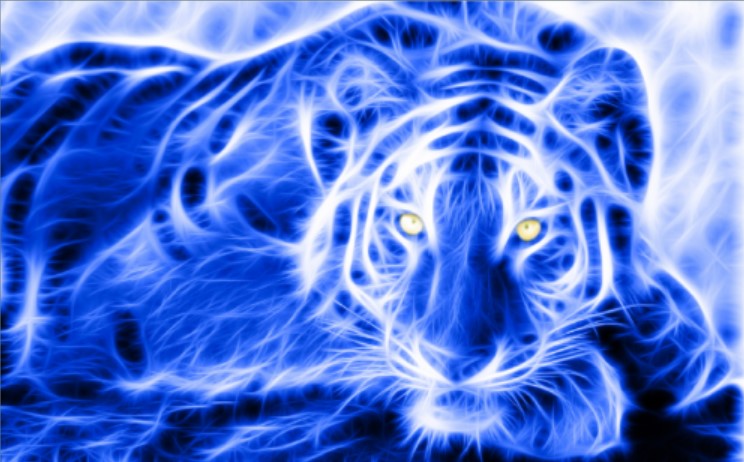 год Тигра. Синий Тигр