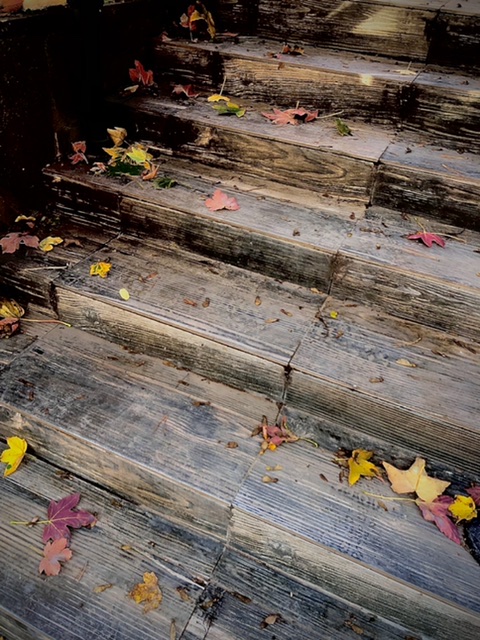 Рассыпан звёздами