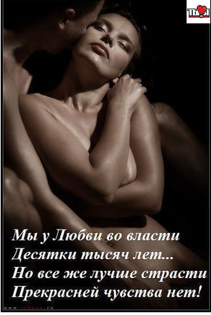 Я Тебя Люблю Эротика