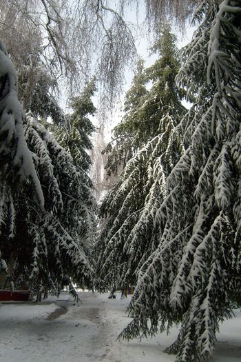 Чернолучье Омск природа
