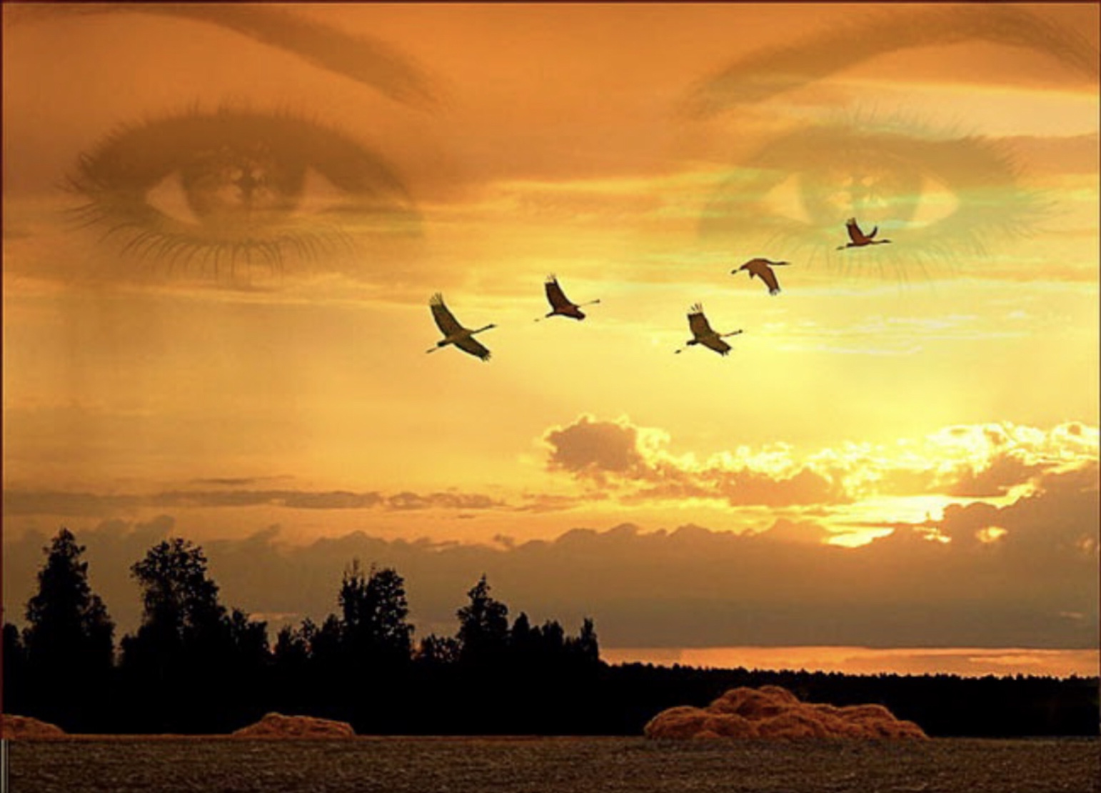 Вот мы уходим с Земли...