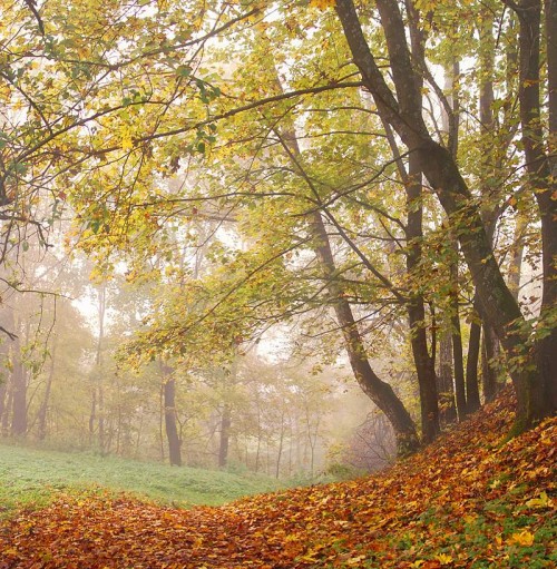 Пейзаж уж другой