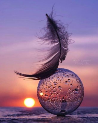 Небес вечерняя сакура...