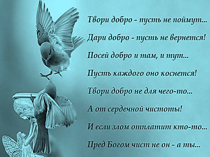 Твори добро. Стих твори добро. Твори добро высказывания. Твори добро цитаты. Твори добро текст. Твори добро. Стих твори добро. Твори добро высказывания. Твори добро цитаты.