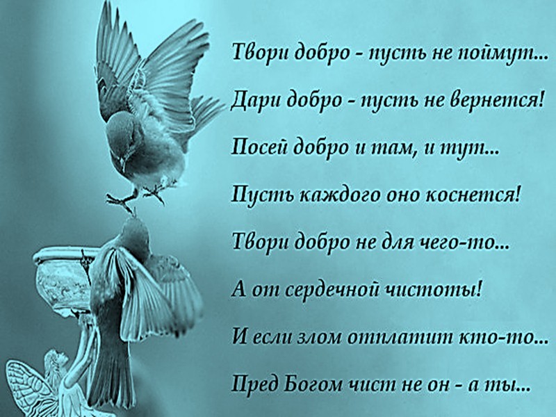 Добро вернется добром песни. Твори добро добро. Твори добро стихи. Твори добро Дари добро. Творить добро стихи.