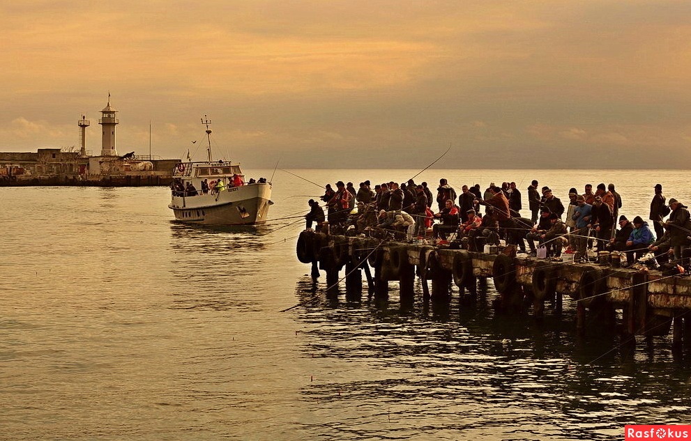 Ни чешуи, ни хвостика