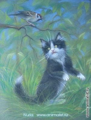 Кот и Воробей