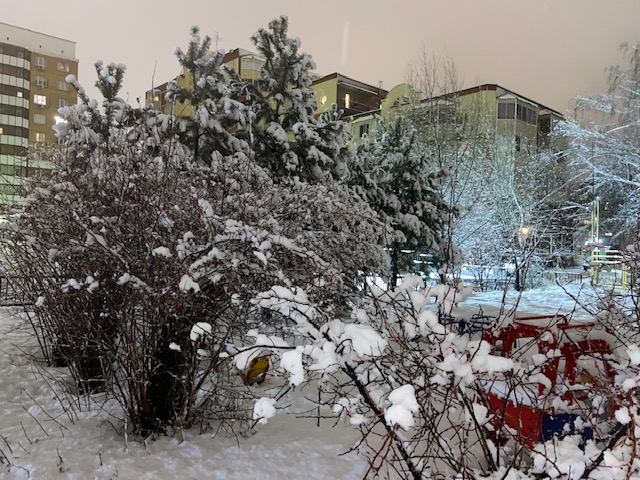 Белый дождь