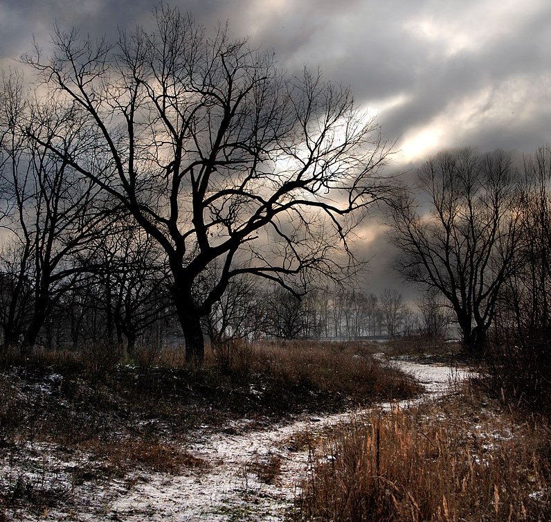 Разлилась по небу грусть