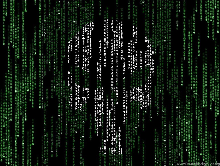 QиRует сегодня QR