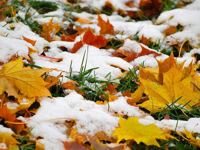 Вот и снег закружился с метелями
