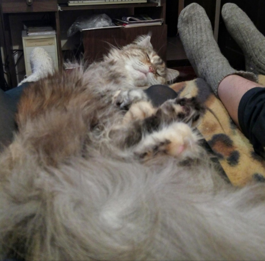 Меховые пассатижи