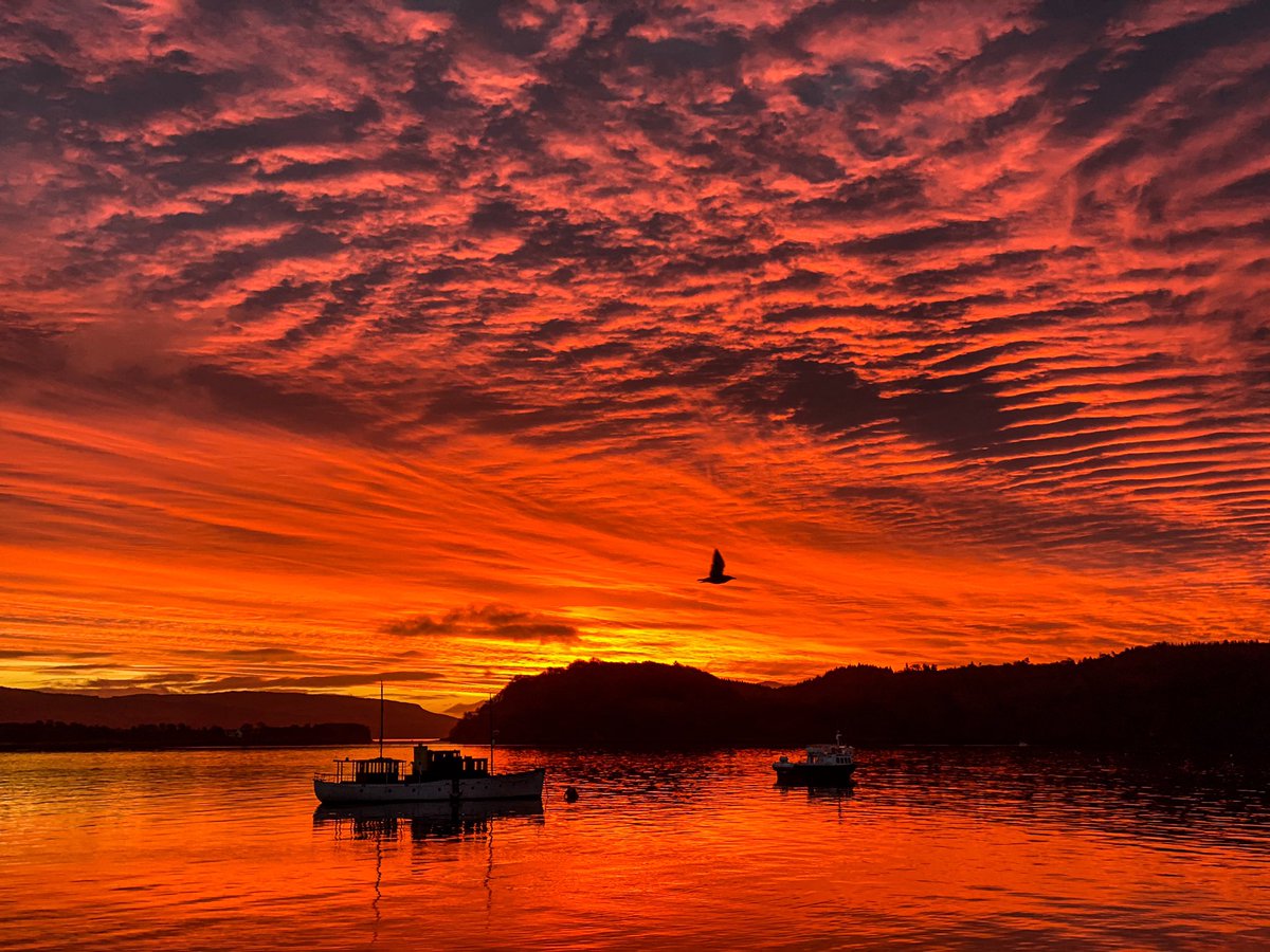 Драгоценная быль