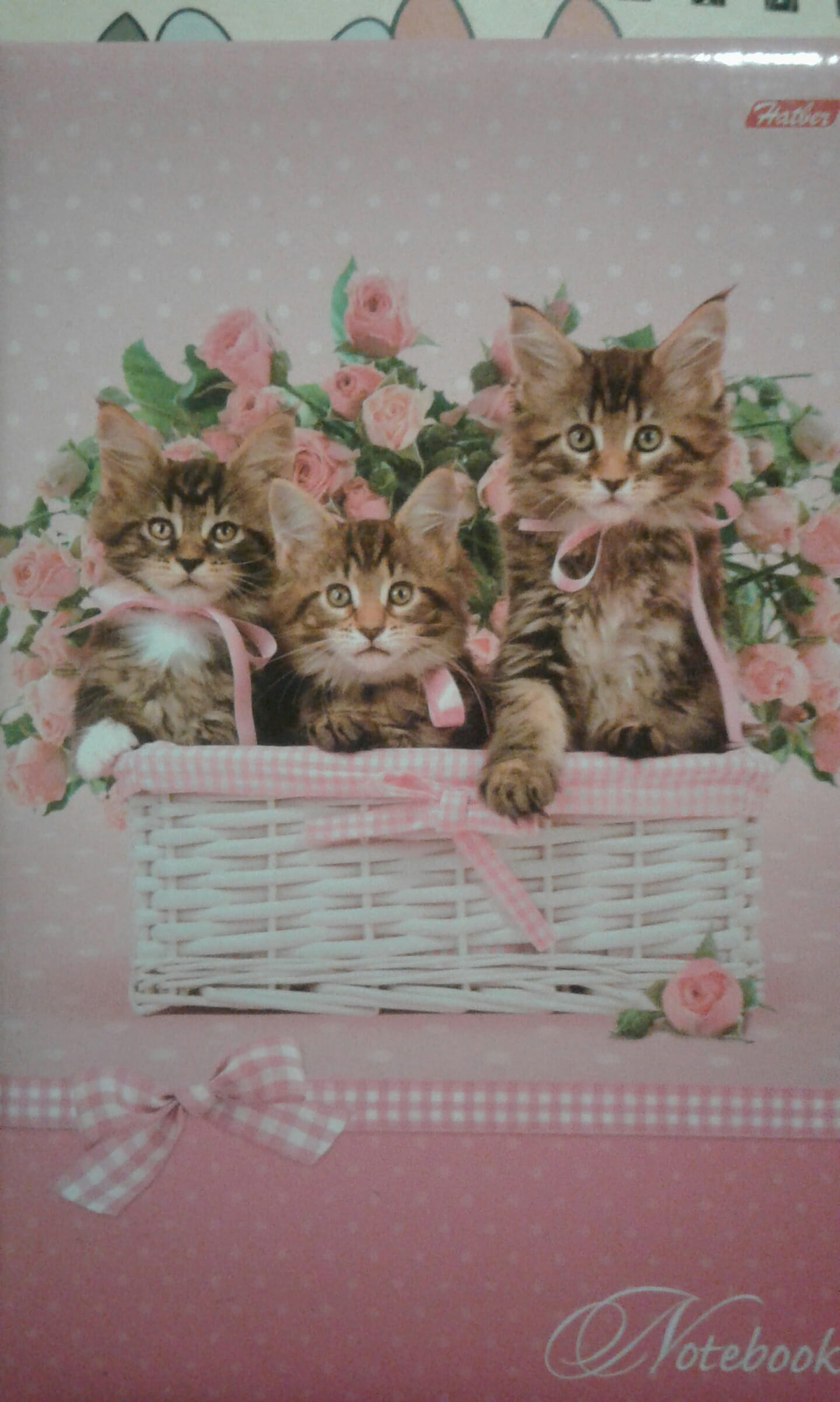 Стих, посвящённый розовому блокноту с кошкой