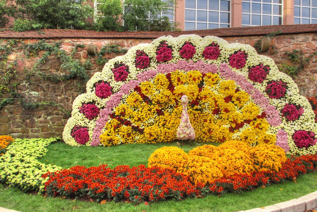 Марафон. 1 Тур. Голосование