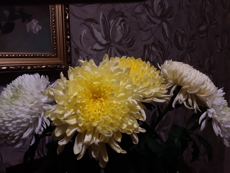 На фото- снег и силуэт мужчины,